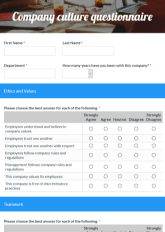 Company Culture Evaluation Form