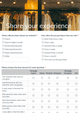 Online Store Evaluation Form