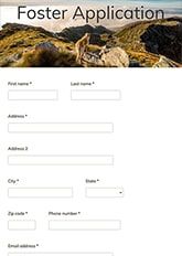 Foster Application Form