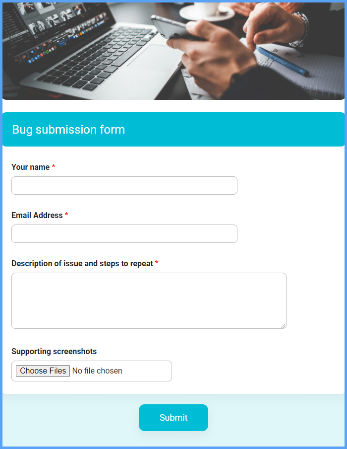 Bug Submission Form