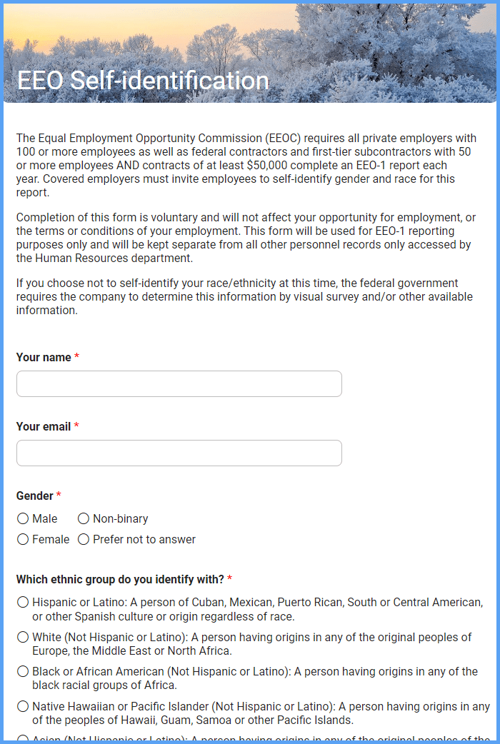 EEO Self identification Form