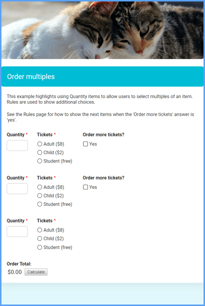 Order Multiples Example Forms & Templates | Formsite