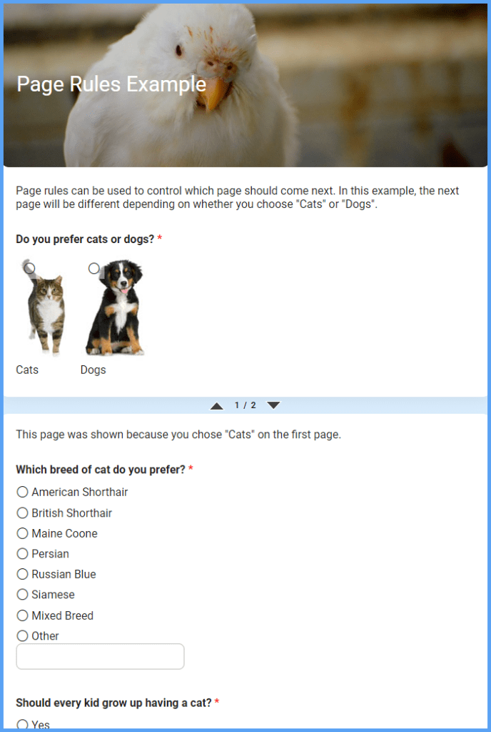 Page Rules Example Forms & Templates Formsite