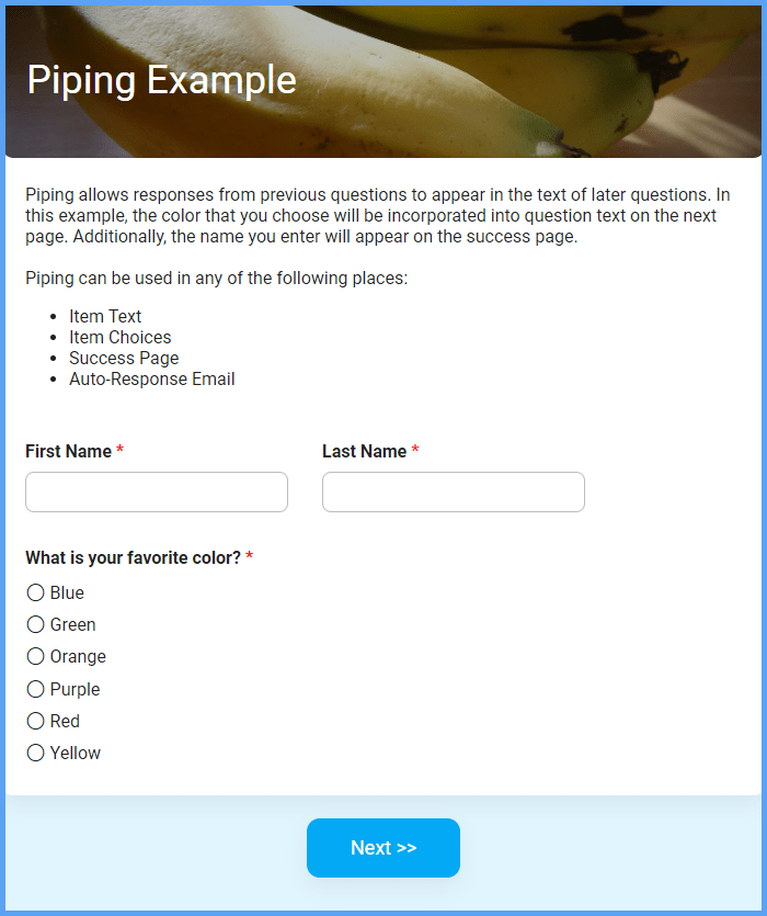 Piping Demo Form