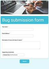 Bug Submission Form