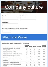 Company Culture Evaluation Form