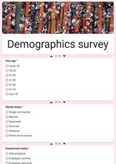 Demographics Survey