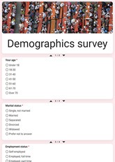 Demographics Survey