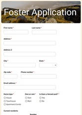 Foster Application Form