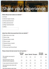 Online Store Evaluation Form