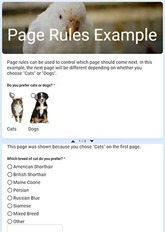 Page Rules Example