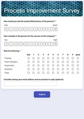 Process Improvement Survey