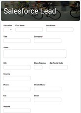 Salesforce Lead Example