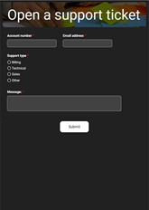 Support Ticket Form