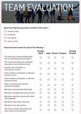 Team Evaluation Form