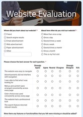 Website Evaluation Survey
