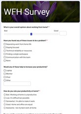 Work From Home Survey Form